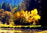 Autumn on the Lake