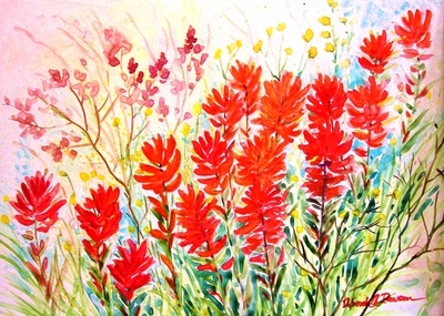 Indian Paint Brush