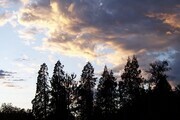 Oregon Clouds