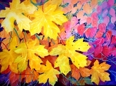 This Year's Fall Colors